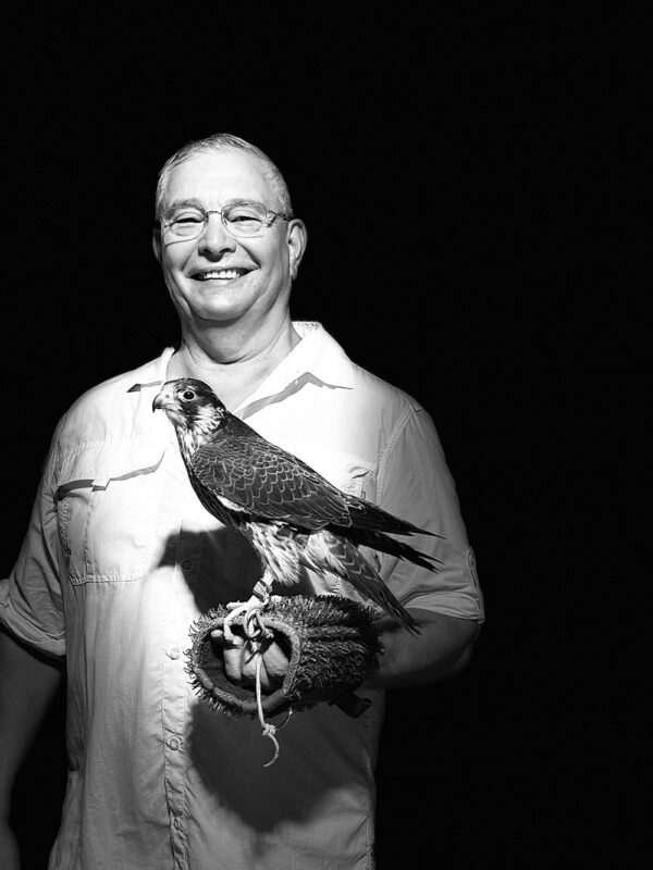 Dubai, Abu Dhabi, Qatar