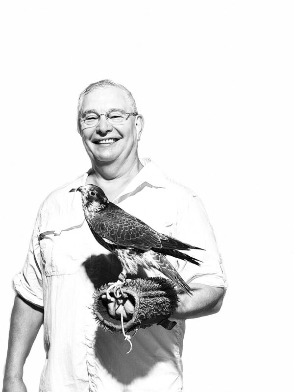 Dubai, Abu Dhabi, Qatar