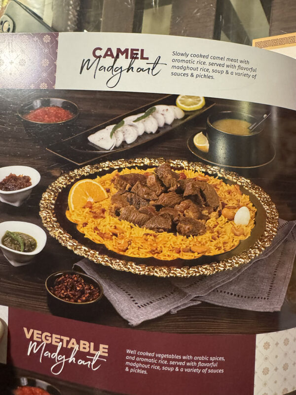 Dubai, Abu Dhabi, Qatar