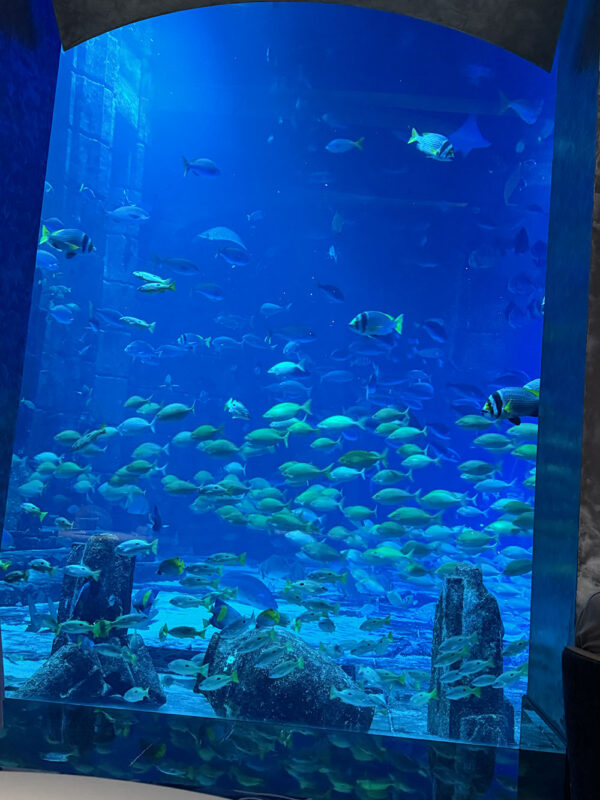 Dubai, Abu Dhabi, Qatar