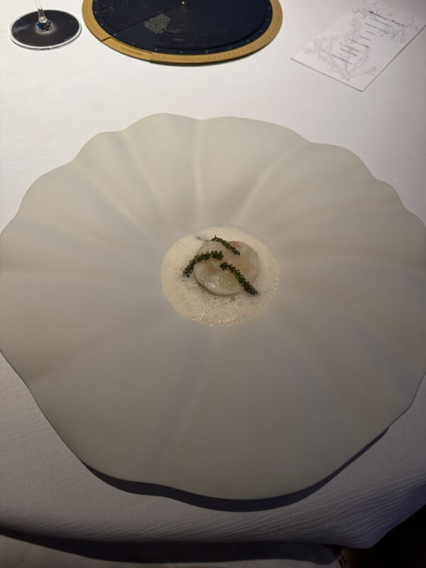 Dubai, Abu Dhabi, Qatar