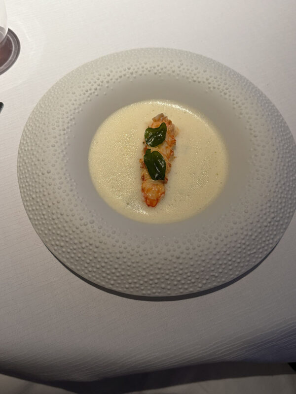 Dubai, Abu Dhabi, Qatar