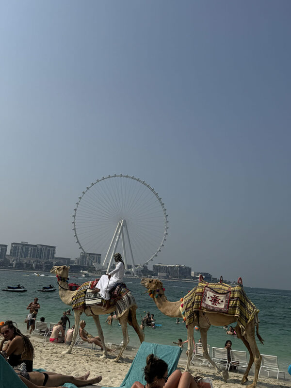 Dubai, Abu Dhabi, Qatar