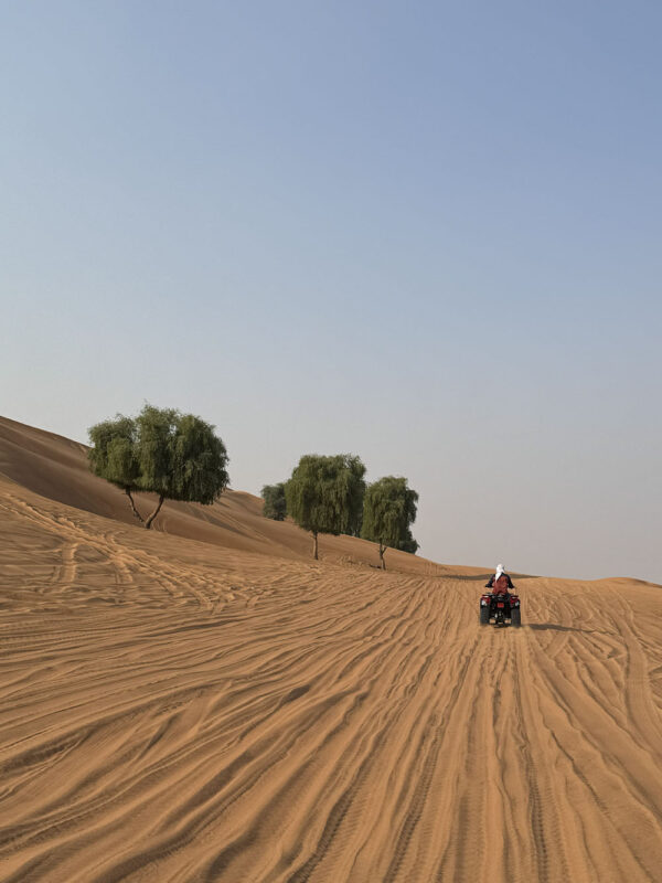 Dubai, Abu Dhabi, Qatar