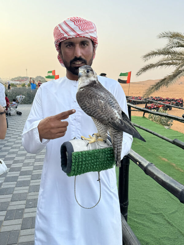 Dubai, Abu Dhabi, Qatar