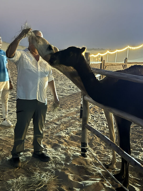 Dubai, Abu Dhabi, Qatar