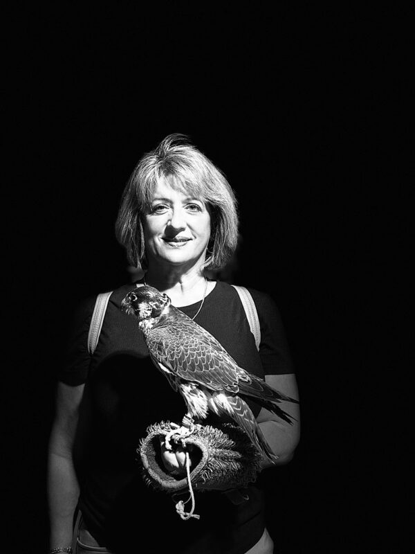 Dubai, Abu Dhabi, Qatar