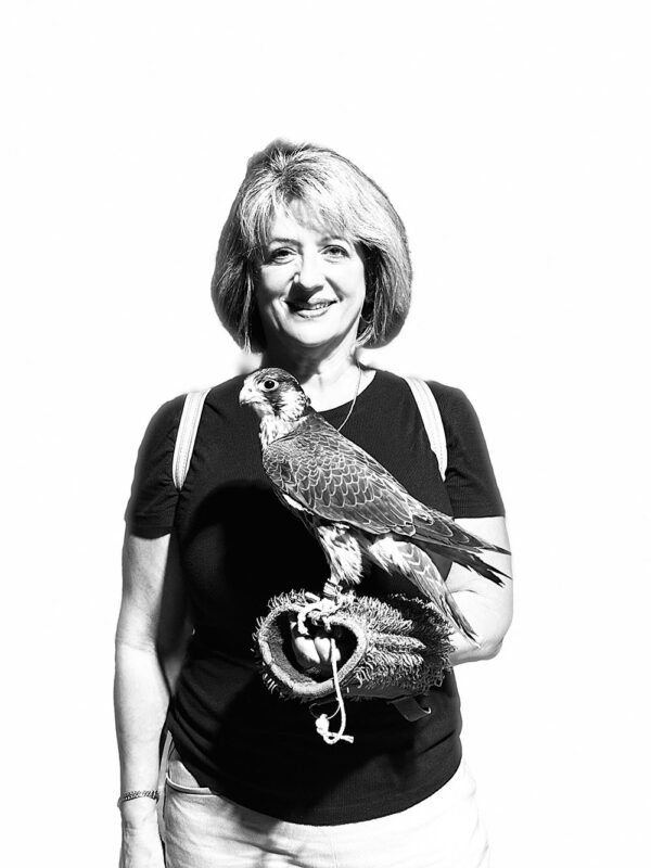 Dubai, Abu Dhabi, Qatar