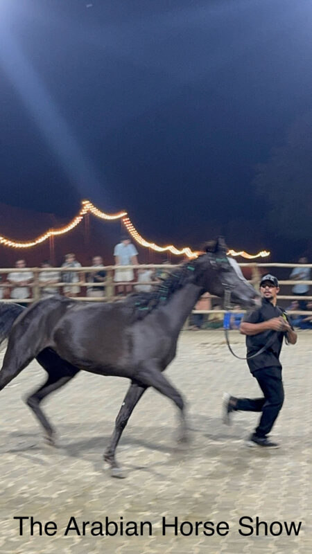 Dubai, Abu Dhabi, Qatar