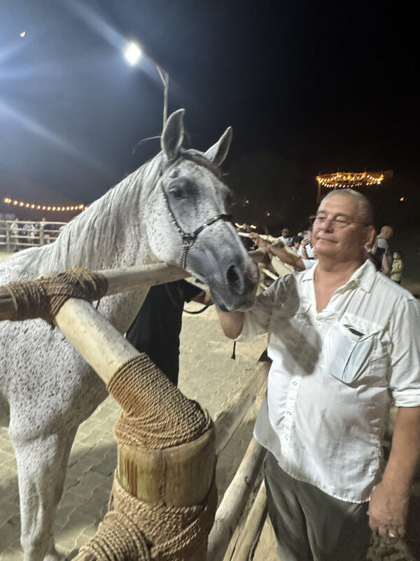 Dubai, Abu Dhabi, Qatar