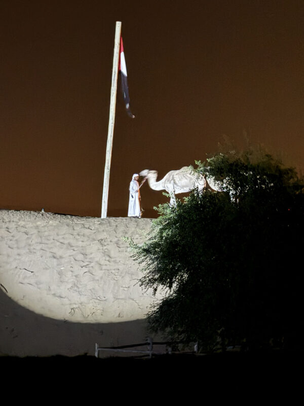 Dubai, Abu Dhabi, Qatar