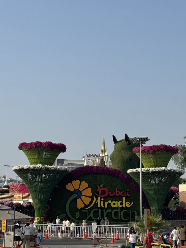 Dubai, Abu Dhabi, Qatar