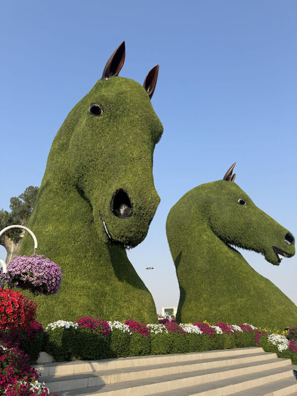 Dubai, Abu Dhabi, Qatar