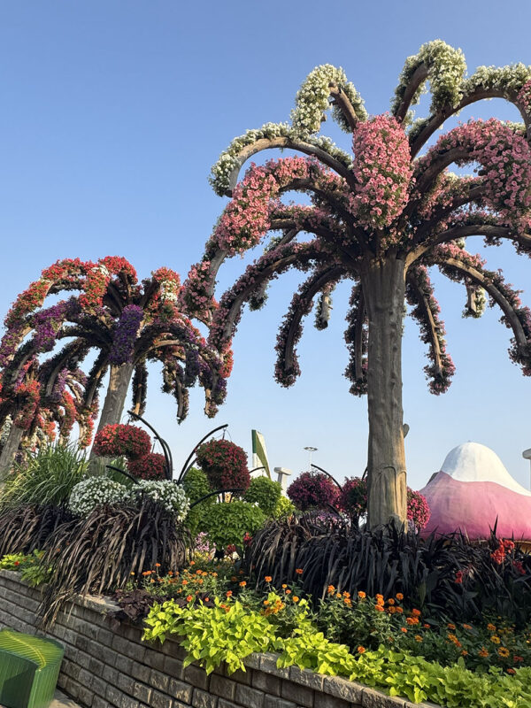 Dubai, Abu Dhabi, Qatar