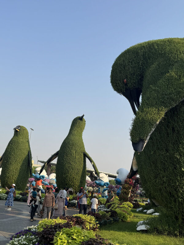 Dubai, Abu Dhabi, Qatar