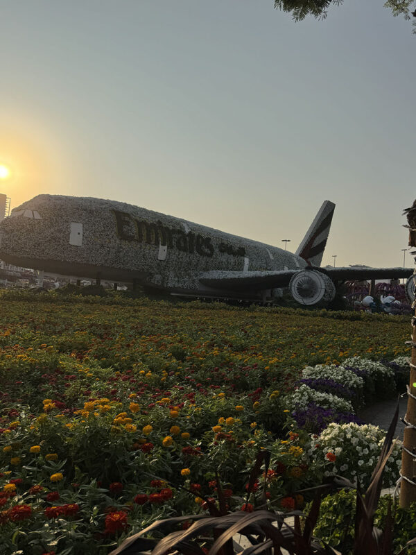 Dubai, Abu Dhabi, Qatar