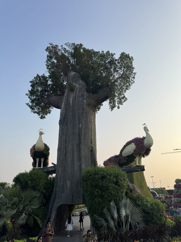 Dubai, Abu Dhabi, Qatar