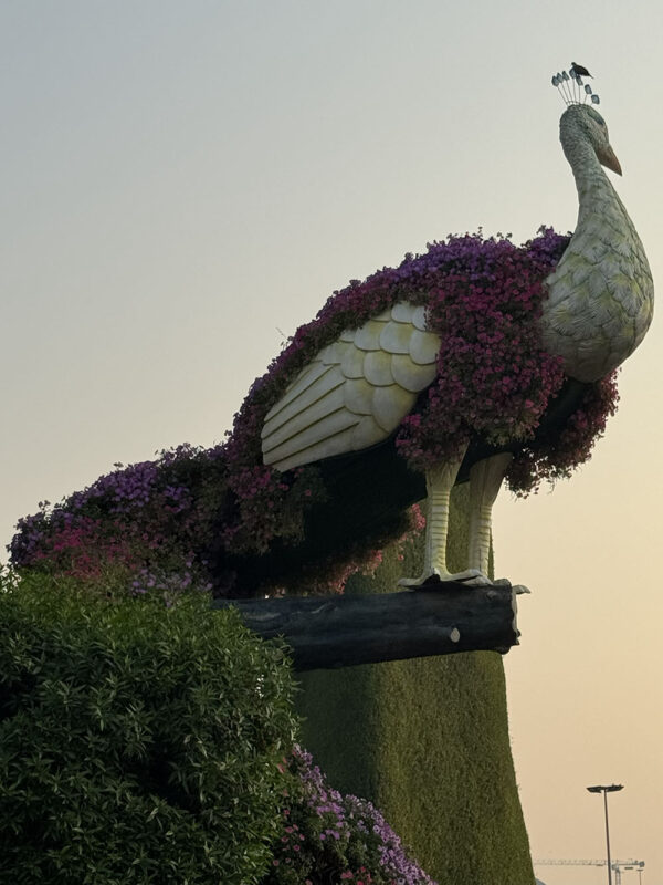 Dubai, Abu Dhabi, Qatar